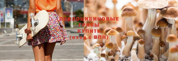 бутират Пестово