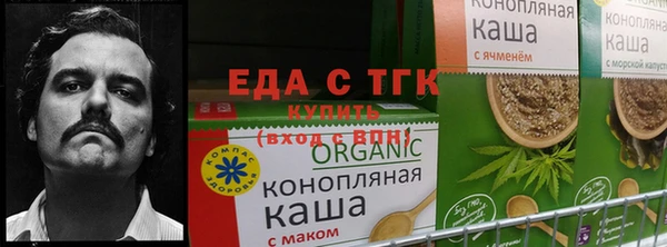 СК Заводоуковск