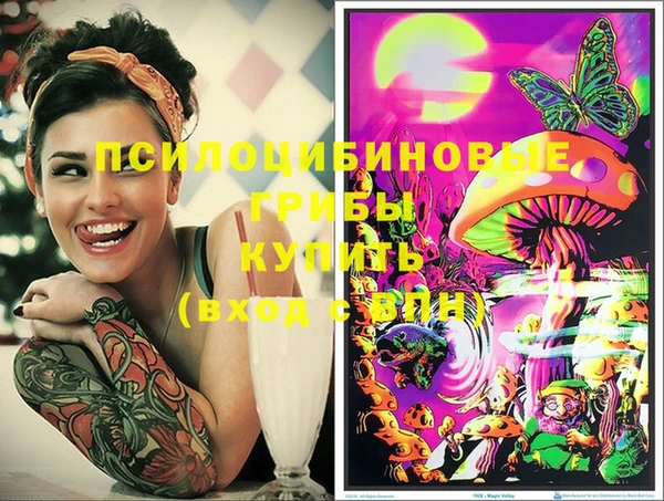 индика Пересвет
