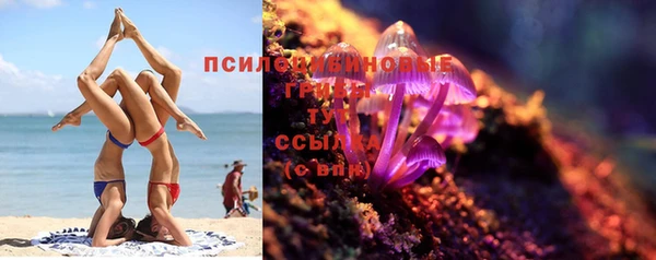 амф Заволжск