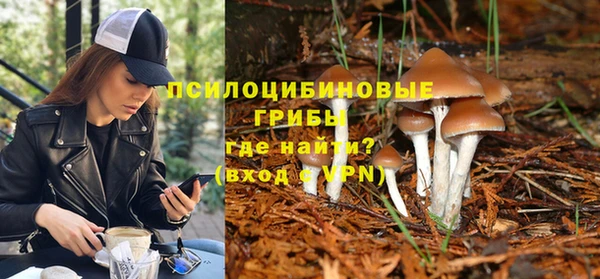 бутират Пестово