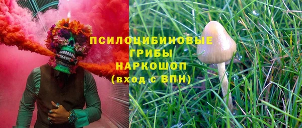 apvp Заволжье