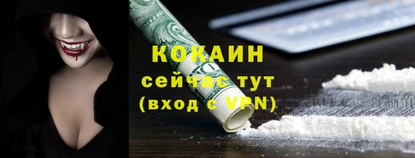 индика Пересвет