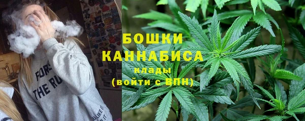 индика Пересвет