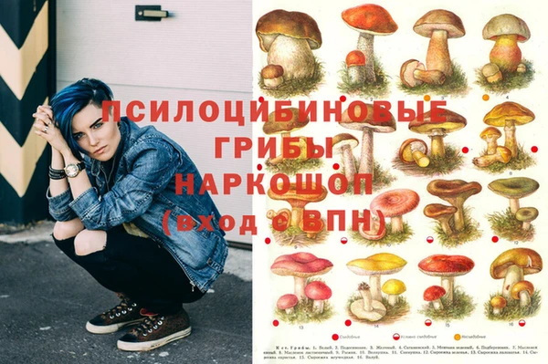 apvp Заволжье