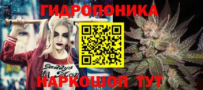 тгк Дубна