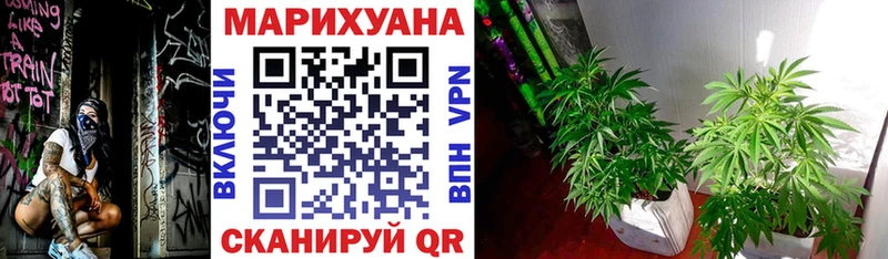 купить наркотик  Соль-Илецк  Конопля план 